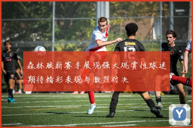 森林狼新赛季展现强大观赏性球迷期待精彩表现与激烈对决